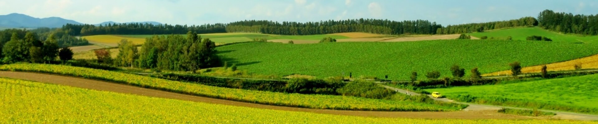 茨城県立太田第一高等学校ホームページ